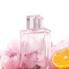 버버리 브릿쉬어 EDT 3종 택1 (30ml/50ml/50ml키링 기획)